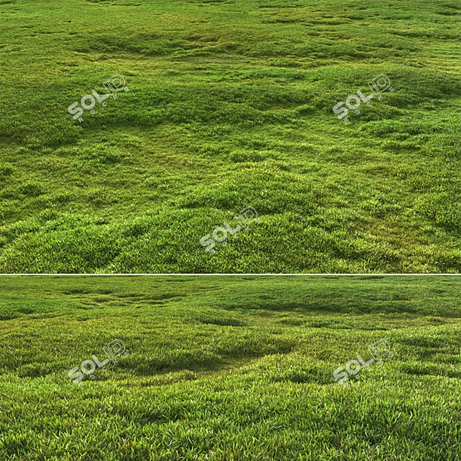 Scattered Grass Patterns 3D model image 2