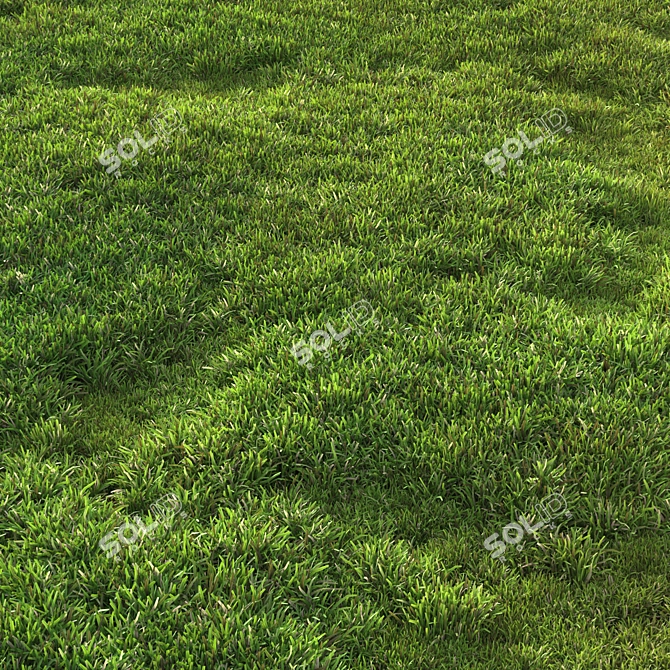 Scattered Grass Patterns 3D model image 3