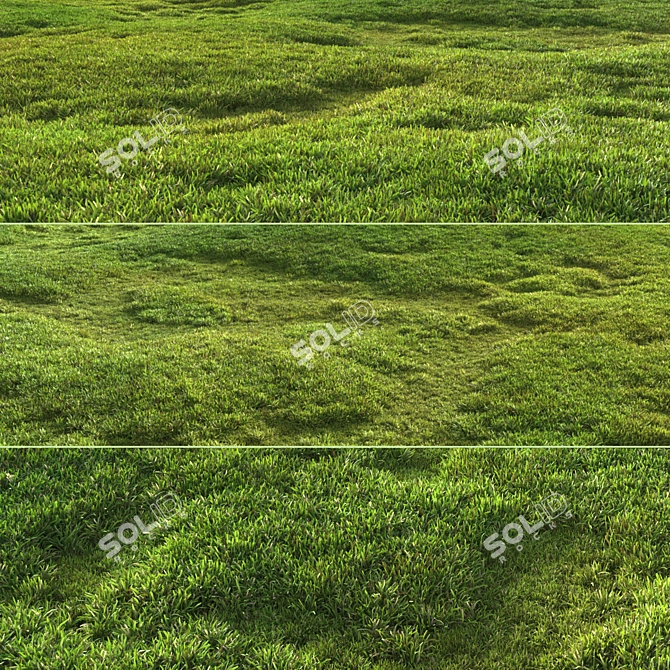 Scattered Grass Patterns 3D model image 8