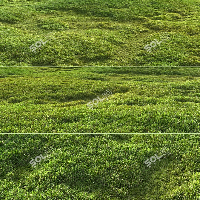 Scattered Grass Patterns 3D model image 9