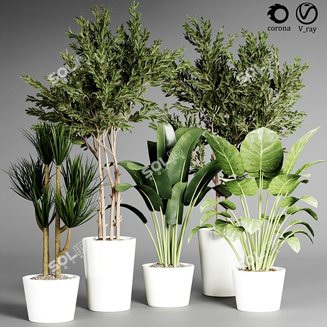  Indoor Plant Collection - 32 Varieties 3D model image 1