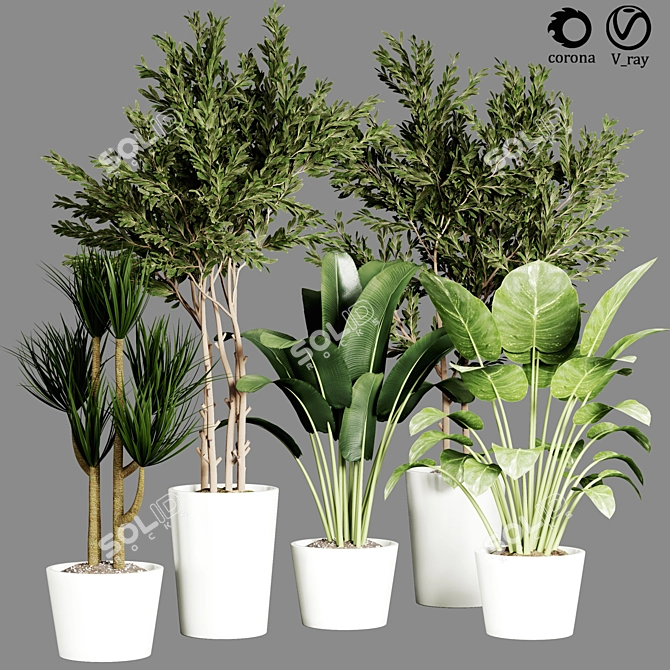  Indoor Plant Collection - 32 Varieties 3D model image 2