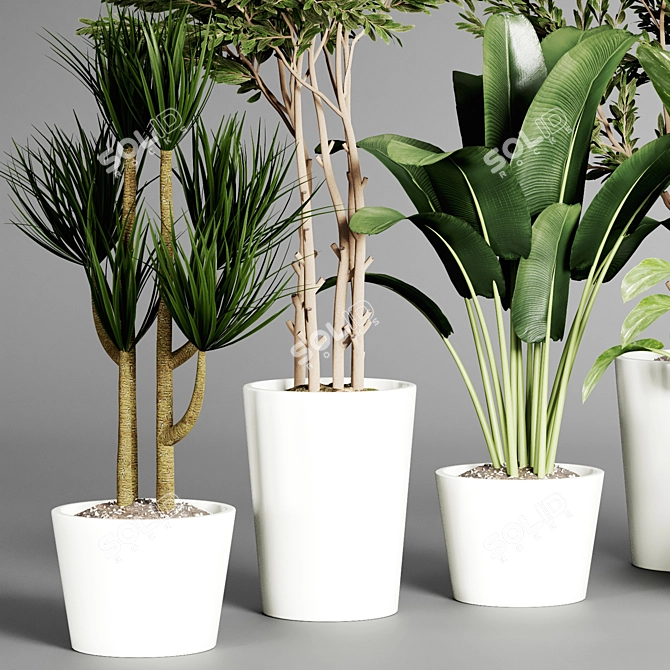  Indoor Plant Collection - 32 Varieties 3D model image 3