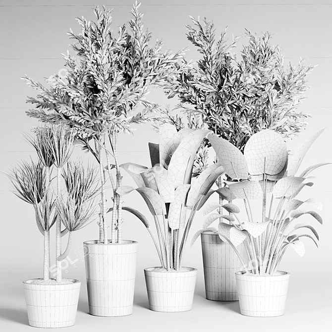  Indoor Plant Collection - 32 Varieties 3D model image 6