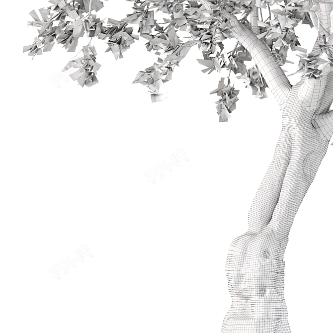 Bristly Locust Tree: Erosion Control 3D model image 4