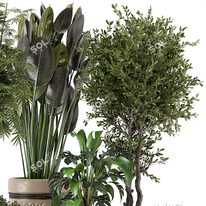 Rustic Indoor Plants - Set 447 3D model image 5