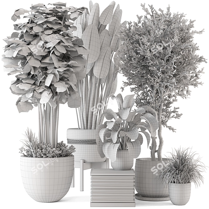 Rustic Indoor Plants - Set 447 3D model image 7