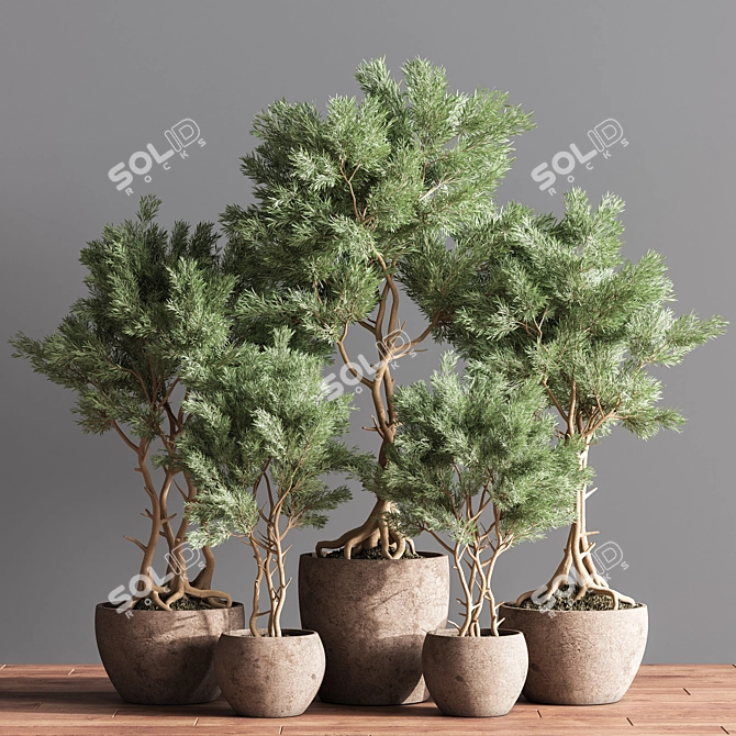 76-Piece Indoor Plant Set: Exquisite Greenery for any Space 3D model image 2