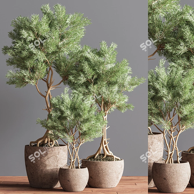 76-Piece Indoor Plant Set: Exquisite Greenery for any Space 3D model image 3