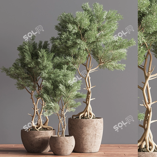 76-Piece Indoor Plant Set: Exquisite Greenery for any Space 3D model image 4