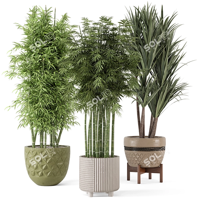 Elegant Indoor Planters - Set 448 3D model image 1