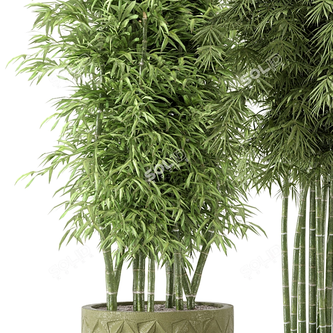 Elegant Indoor Planters - Set 448 3D model image 4