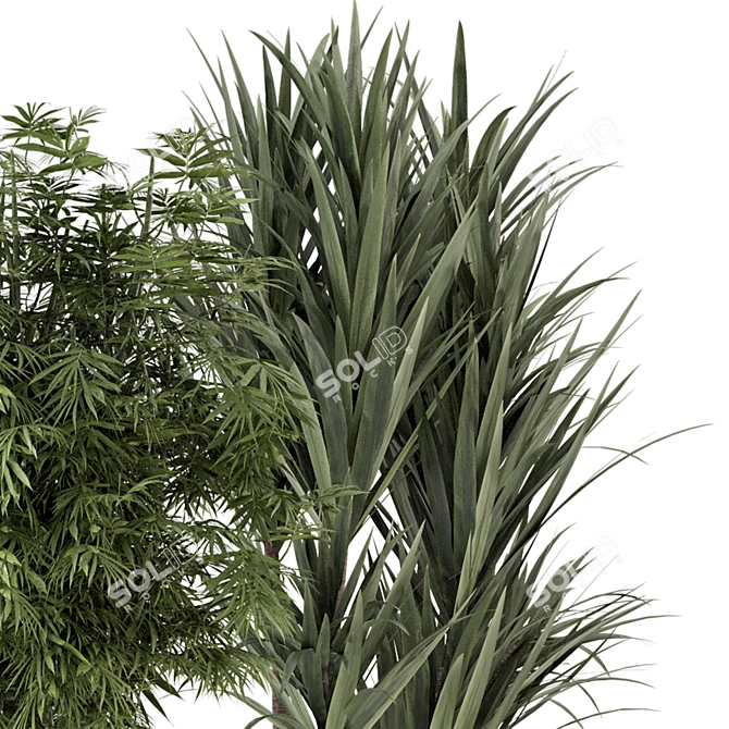 Elegant Indoor Planters - Set 448 3D model image 6