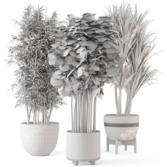 Elegant Indoor Planters - Set 448 3D model image 7