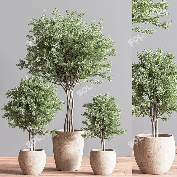Botanical Haven: Indoor Plant Set 3D model image 4