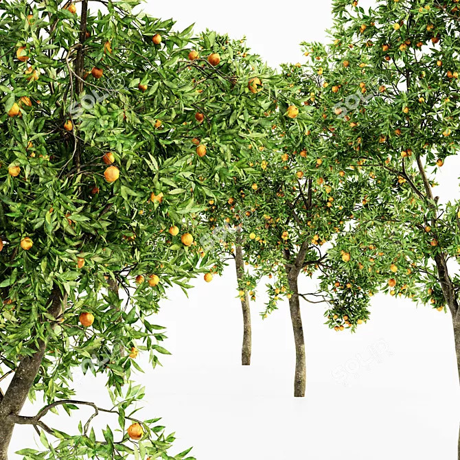 Multi-Tree Fruit Collection - Apple & Peach 3D model image 4