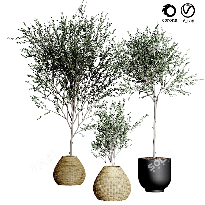 Indoor Plant Collection: 33 Varieties 3D model image 1