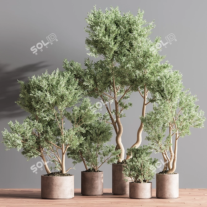 Botanical Bliss Indoor Plant Set 3D model image 2