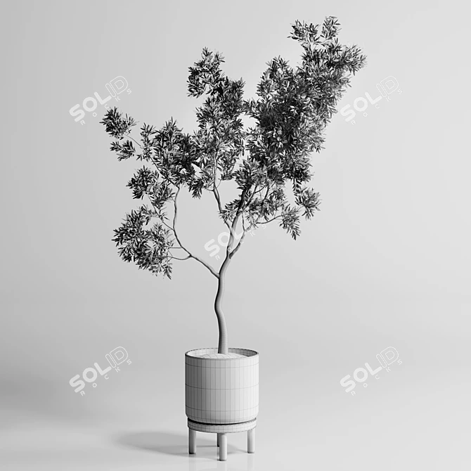 176 Wood Vase Indoor Plant Pot 3D model image 7