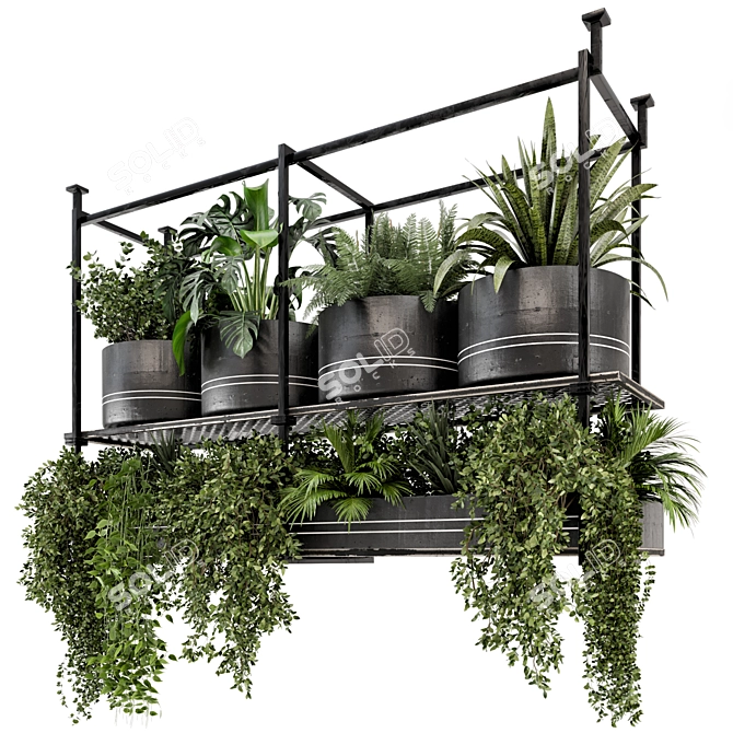 Metal Box Hanging Plants: Set 449 3D model image 1