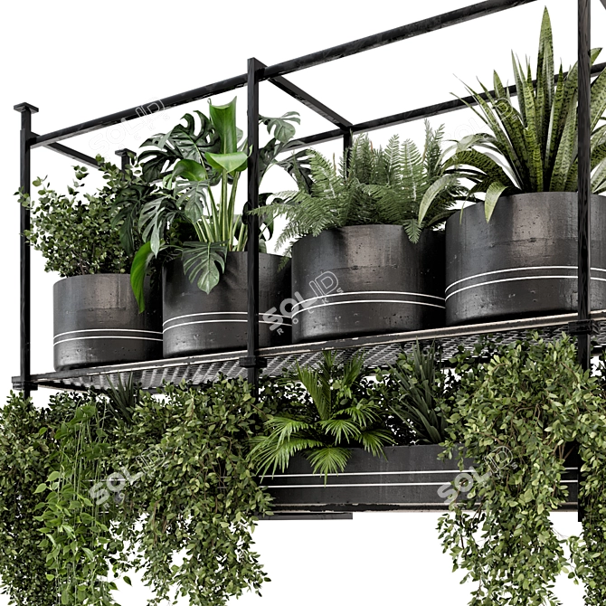 Metal Box Hanging Plants: Set 449 3D model image 2