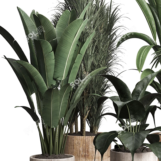 Lush Greenery: 174-Pot Indoor Plant Collection 3D model image 2