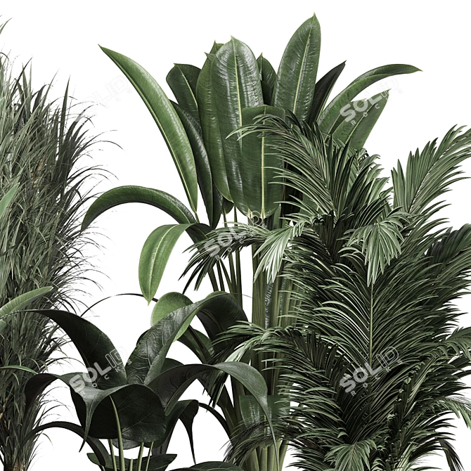 Lush Greenery: 174-Pot Indoor Plant Collection 3D model image 3