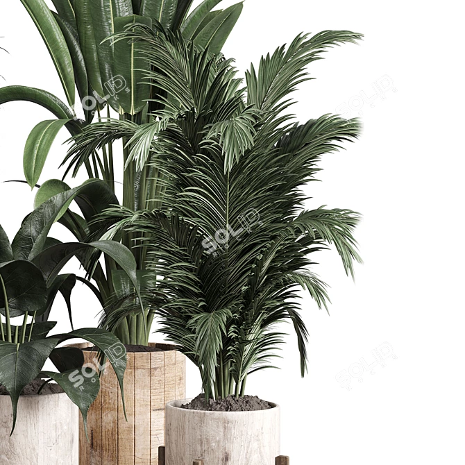 Lush Greenery: 174-Pot Indoor Plant Collection 3D model image 4