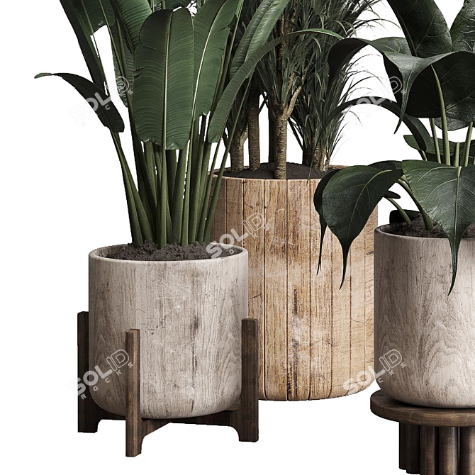 Lush Greenery: 174-Pot Indoor Plant Collection 3D model image 5