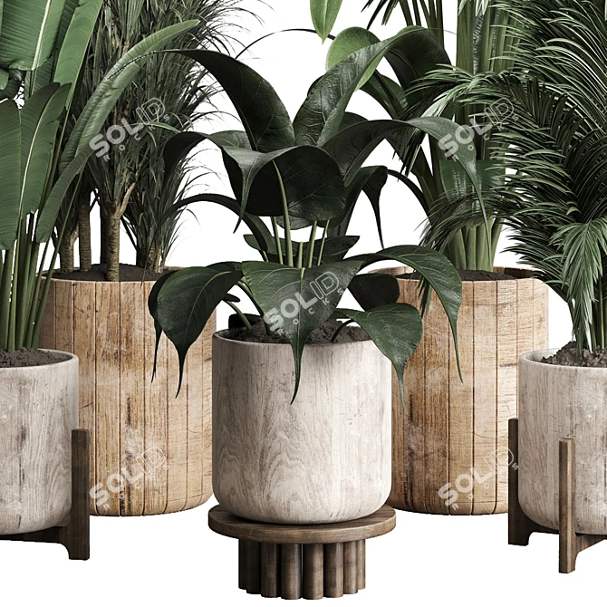 Lush Greenery: 174-Pot Indoor Plant Collection 3D model image 6