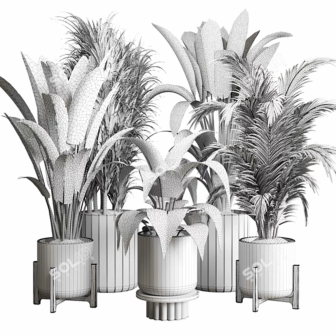 Lush Greenery: 174-Pot Indoor Plant Collection 3D model image 7
