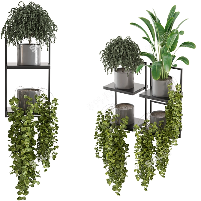 Concrete Pot Indoor Plants on Metal Shelf - Set 208 3D model image 2