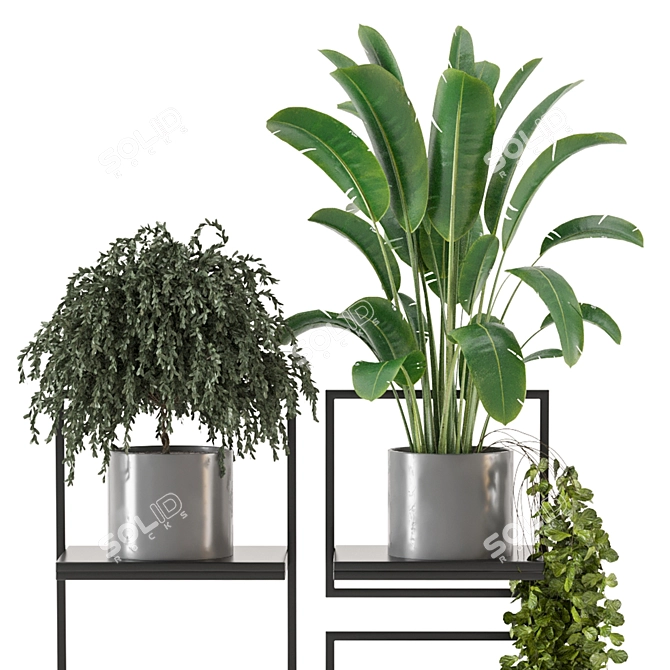 Concrete Pot Indoor Plants on Metal Shelf - Set 208 3D model image 4