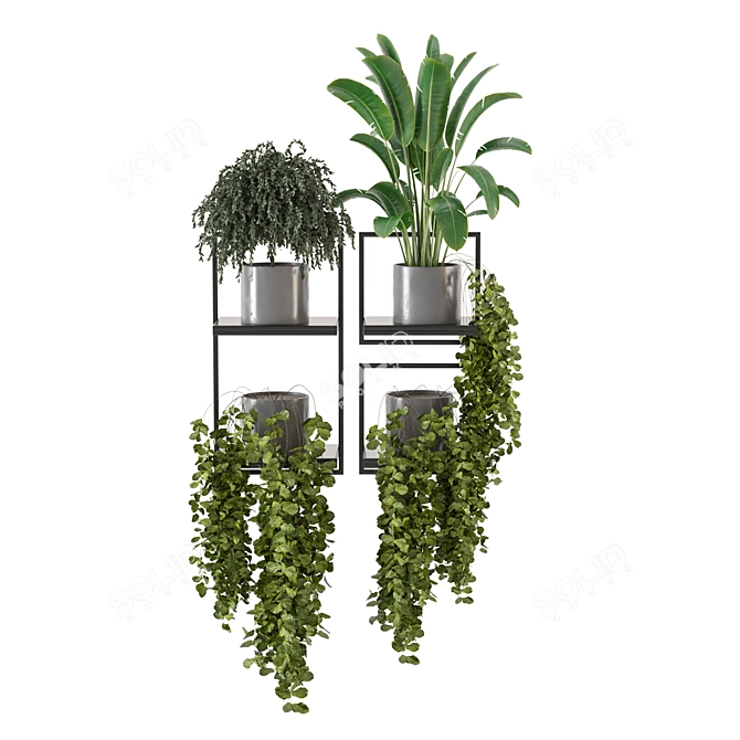 Concrete Pot Indoor Plants on Metal Shelf - Set 208 3D model image 5