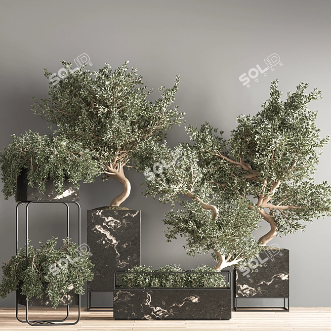 Versatile Indoor Plant Set 3D model image 2