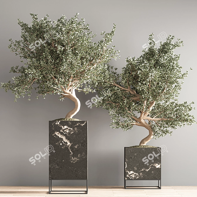 Versatile Indoor Plant Set 3D model image 4