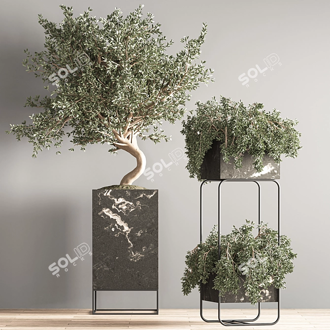 Versatile Indoor Plant Set 3D model image 5