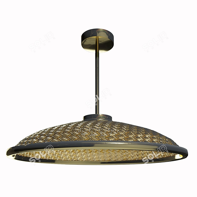 Woven Wire Pendant Light 3D model image 1