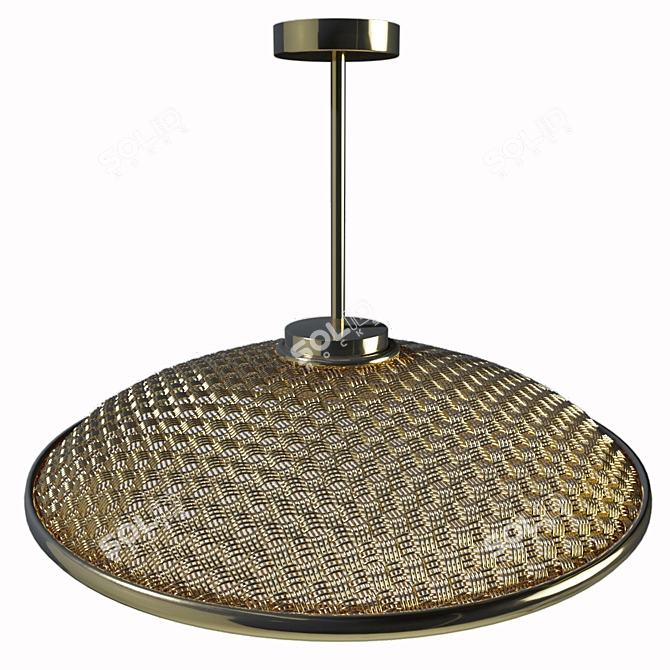 Woven Wire Pendant Light 3D model image 2