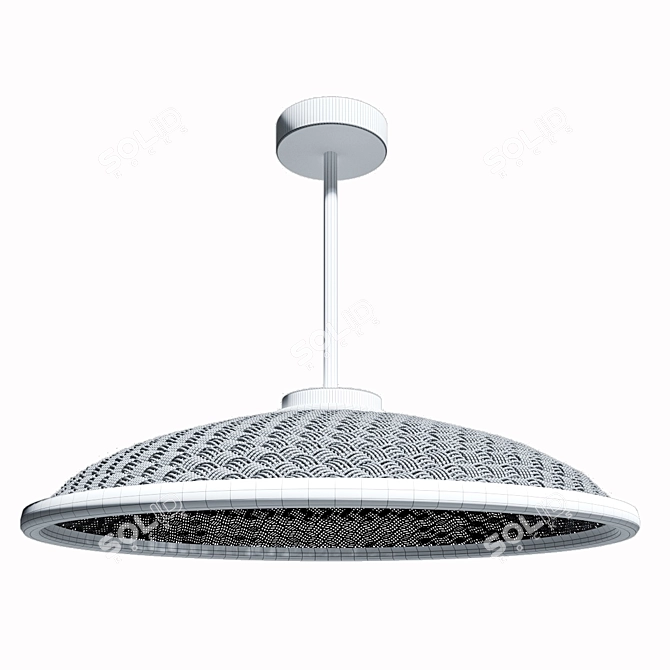 Woven Wire Pendant Light 3D model image 3