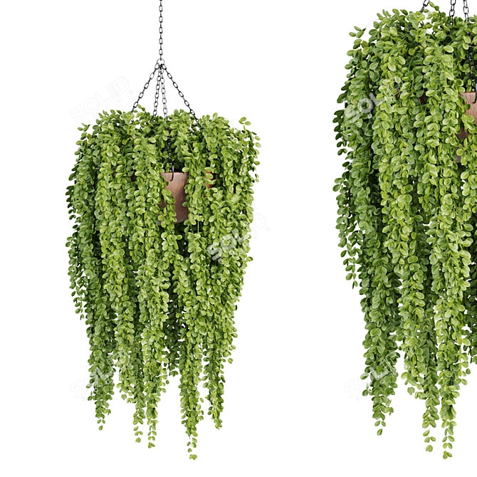 Hanging Plant Collection: Stylish PBR Creations 3D model image 2