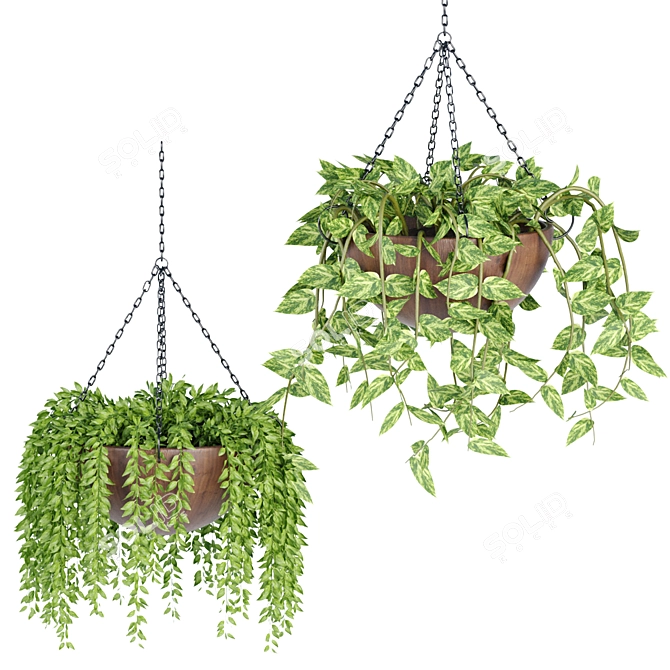 Hanging Plant Collection: Stylish PBR Creations 3D model image 3