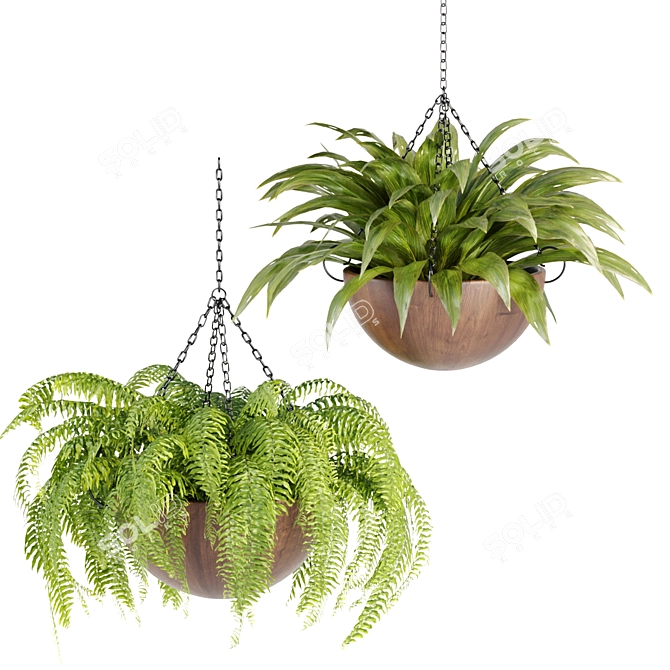 Hanging Plant Collection: Stylish PBR Creations 3D model image 4