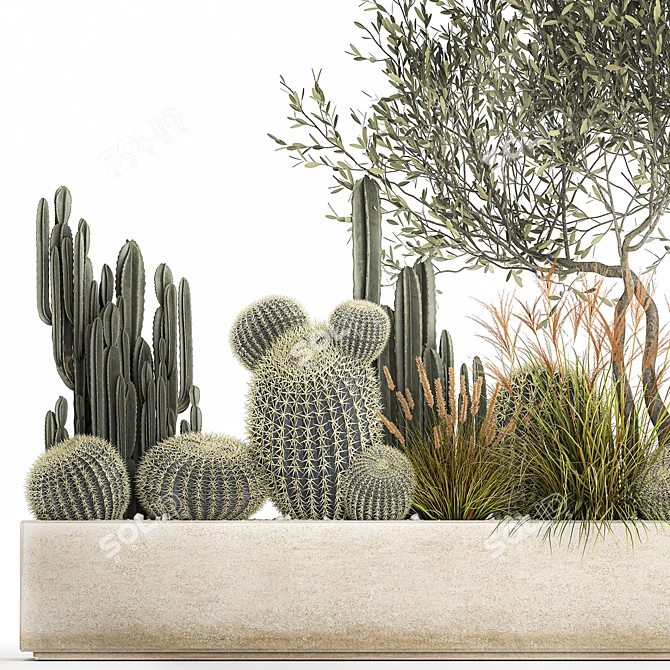 Exotic Cactus Collection | Decorative Plants in Concrete Pots 3D model image 2