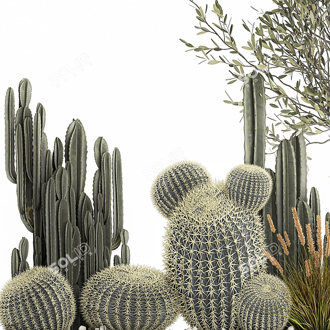 Exotic Cactus Collection | Decorative Plants in Concrete Pots 3D model image 3