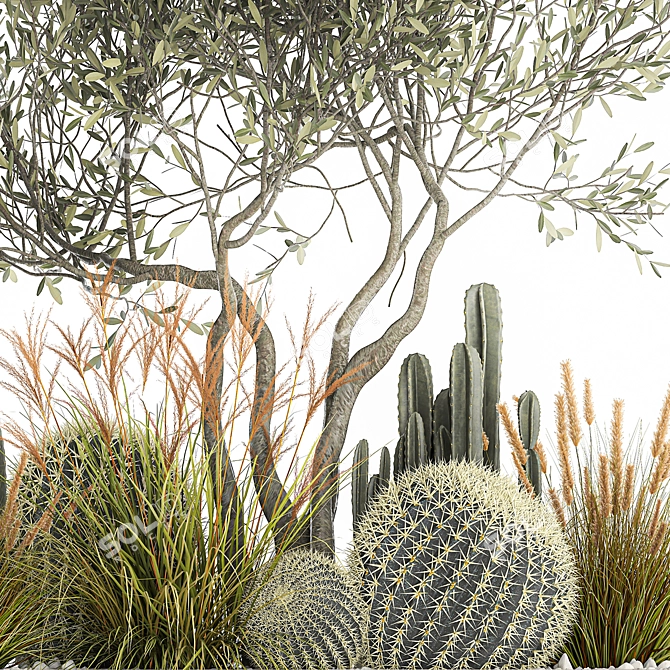 Exotic Cactus Collection | Decorative Plants in Concrete Pots 3D model image 4