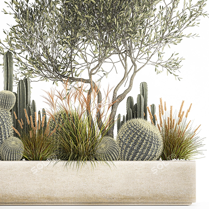 Exotic Cactus Collection | Decorative Plants in Concrete Pots 3D model image 6
