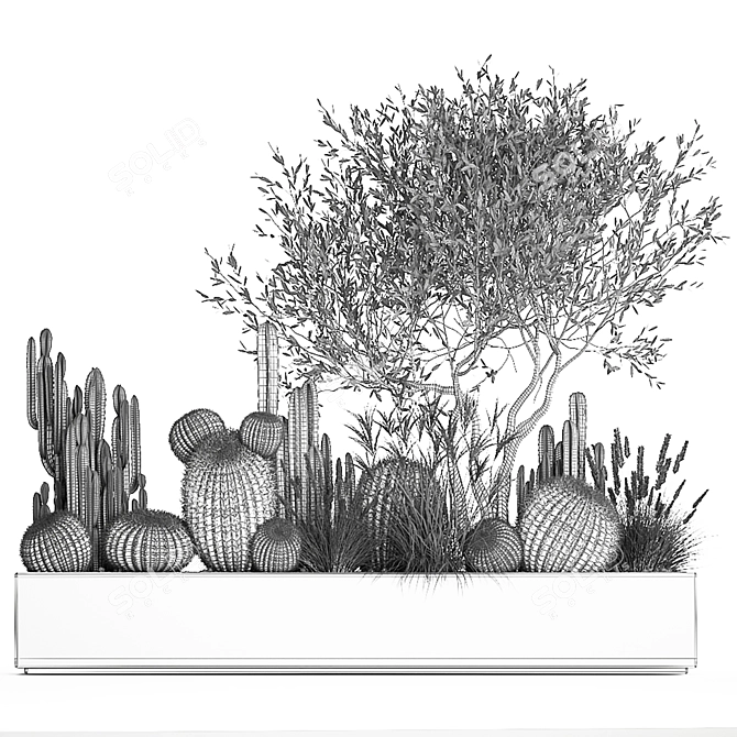 Exotic Cactus Collection | Decorative Plants in Concrete Pots 3D model image 7