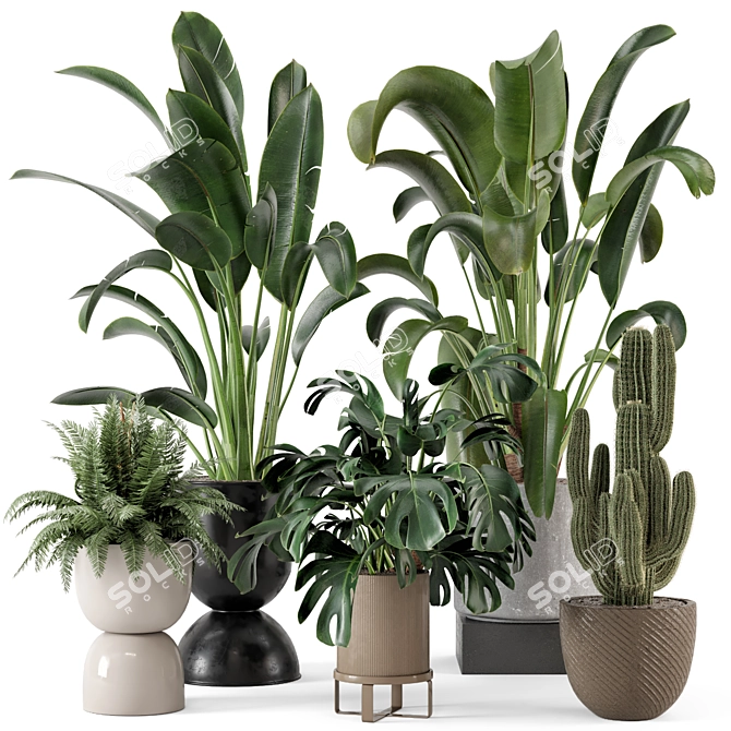 Ferm Living Bau Pot Large Set - Indoor Plants 3D model image 1