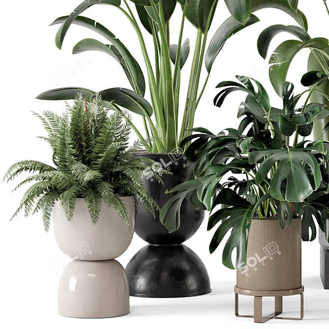 Ferm Living Bau Pot Large Set - Indoor Plants 3D model image 3